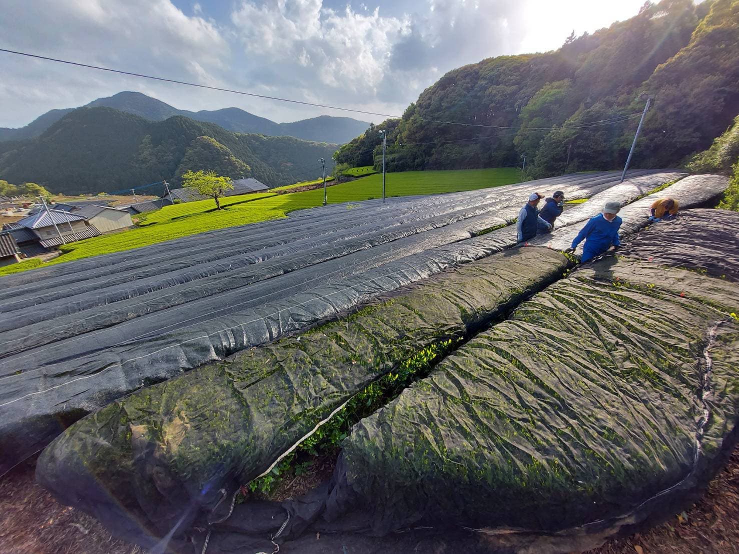 バロンスクリーン