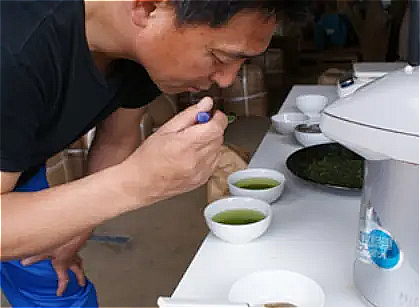 お茶のテイスティング