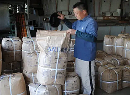 お茶のテイスティング